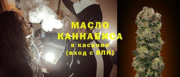 сатива Сясьстрой