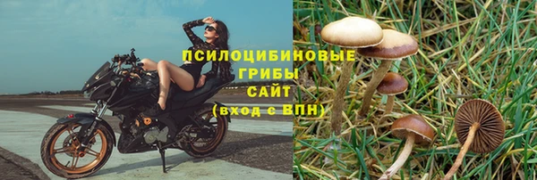 сатива Сясьстрой