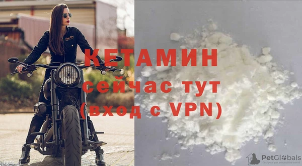 прущие грибы Тавда
