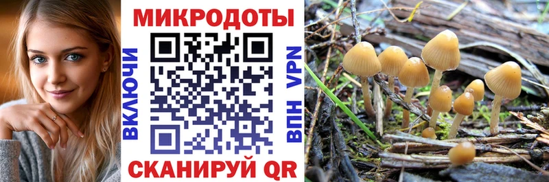 закладка  Тырныауз  Псилоцибиновые грибы Magic Shrooms 